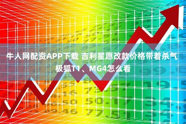 牛人网配资APP下载 吉利星愿改款价格带着杀气 极狐T1、MG4怎么看