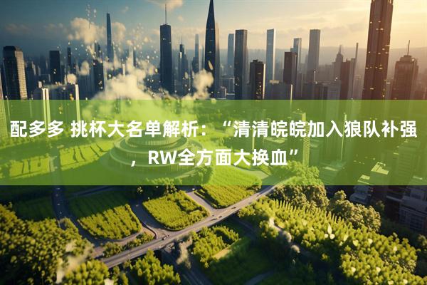配多多 挑杯大名单解析：“清清皖皖加入狼队补强，RW全方面大换血”