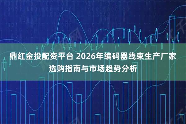 鼎红金投配资平台 2026年编码器线束生产厂家选购指南与市场趋势分析